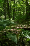 Area-08--8