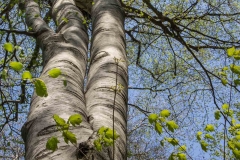 Jackson-Gunn May 18, 2014