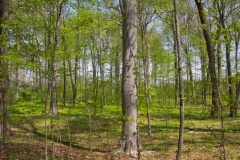 Jackson-Gunn May 18, 2014