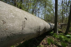 Jackson-Gunn May 18, 2014