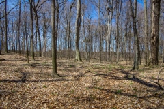 Jackson-Gunn Apr. 20, 2016