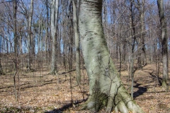 Jackson-Gunn Apr. 20, 2016