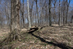 Jackson-Gunn Apr. 20, 2016