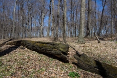 Jackson-Gunn Apr. 20, 2016