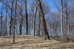 Jackson-Gunn Apr. 20, 2016