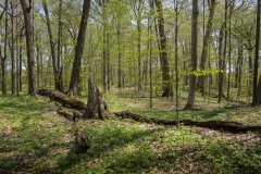 Jackson-Gunn May 18, 2014