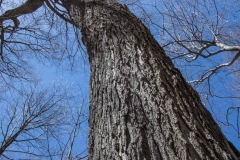 Jackson-Gunn Apr. 20, 2016