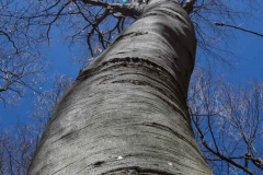 Jackson-Gunn Apr. 20, 2016