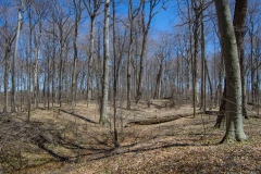 Jackson-Gunn Apr. 20, 2016