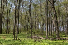 Jackson-Gunn May 18, 2014