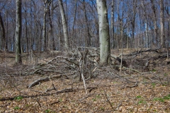 Jackson-Gunn Apr. 20, 2016