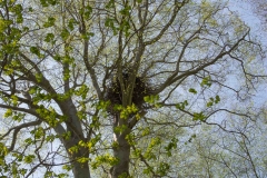 Jackson-Gunn May 18, 2014