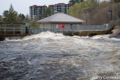 Bracebridge Falls