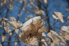 March, 2011