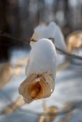 March, 2011