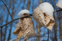 March, 2011