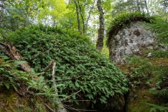 Nova Scotia Waterfalls