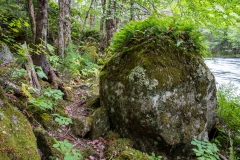 Nova Scotia Waterfalls