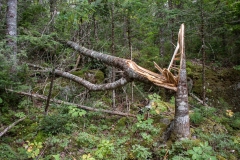 Nova Scotia Waterfalls