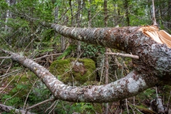 Nova Scotia Waterfalls