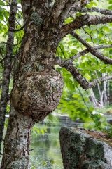 Nova Scotia Waterfalls