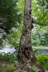 Nova Scotia Waterfalls
