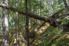 Nova Scotia Waterfalls
