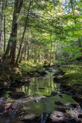 Nova Scotia Waterfalls