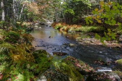 Nova Scotia Waterfalls