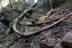 Nova Scotia Waterfalls