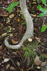 Nova Scotia Waterfalls