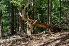 Nova Scotia Waterfalls
