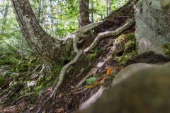 Nova Scotia Waterfalls