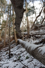 Nova Scotia Waterfalls