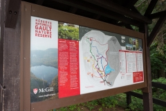 Gault Nature Reserve, Mount St. Hilaire, Quebec