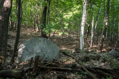Gault Nature Reserve, Mount St. Hilaire, Quebec