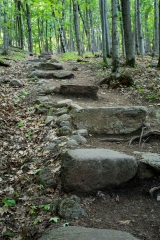 Gault Nature Reserve, Mount St. Hilaire, Quebec