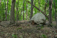 Gault Nature Reserve, Mount St. Hilaire, Quebec