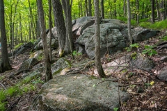 Gault Nature Reserve, Mount St. Hilaire, Quebec