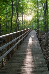 Gault Nature Reserve, Mount St. Hilaire, Quebec