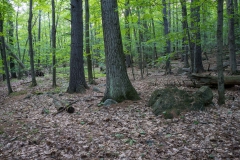 Gault Nature Reserve, Mount St. Hilaire, Quebec