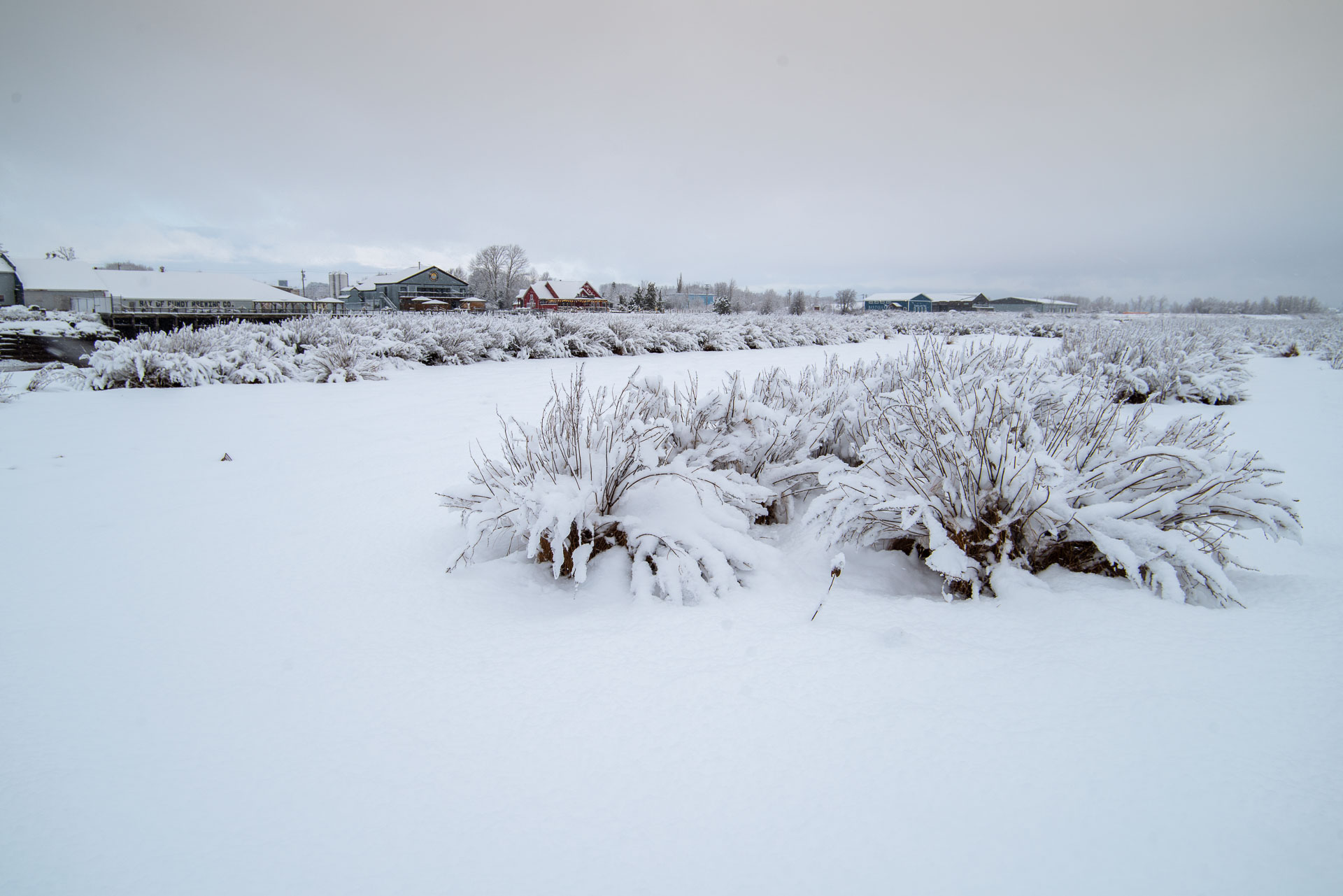Cornwallis River (Jijuktu'kwejk) Cornwallis River deep snow on an overcast day