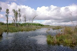 Click to enlarge