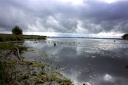 Click to enlarge